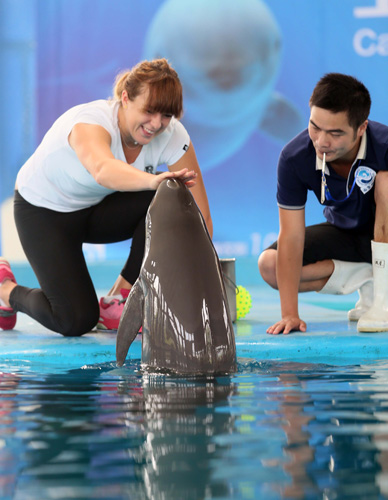 队友击掌 队友击掌