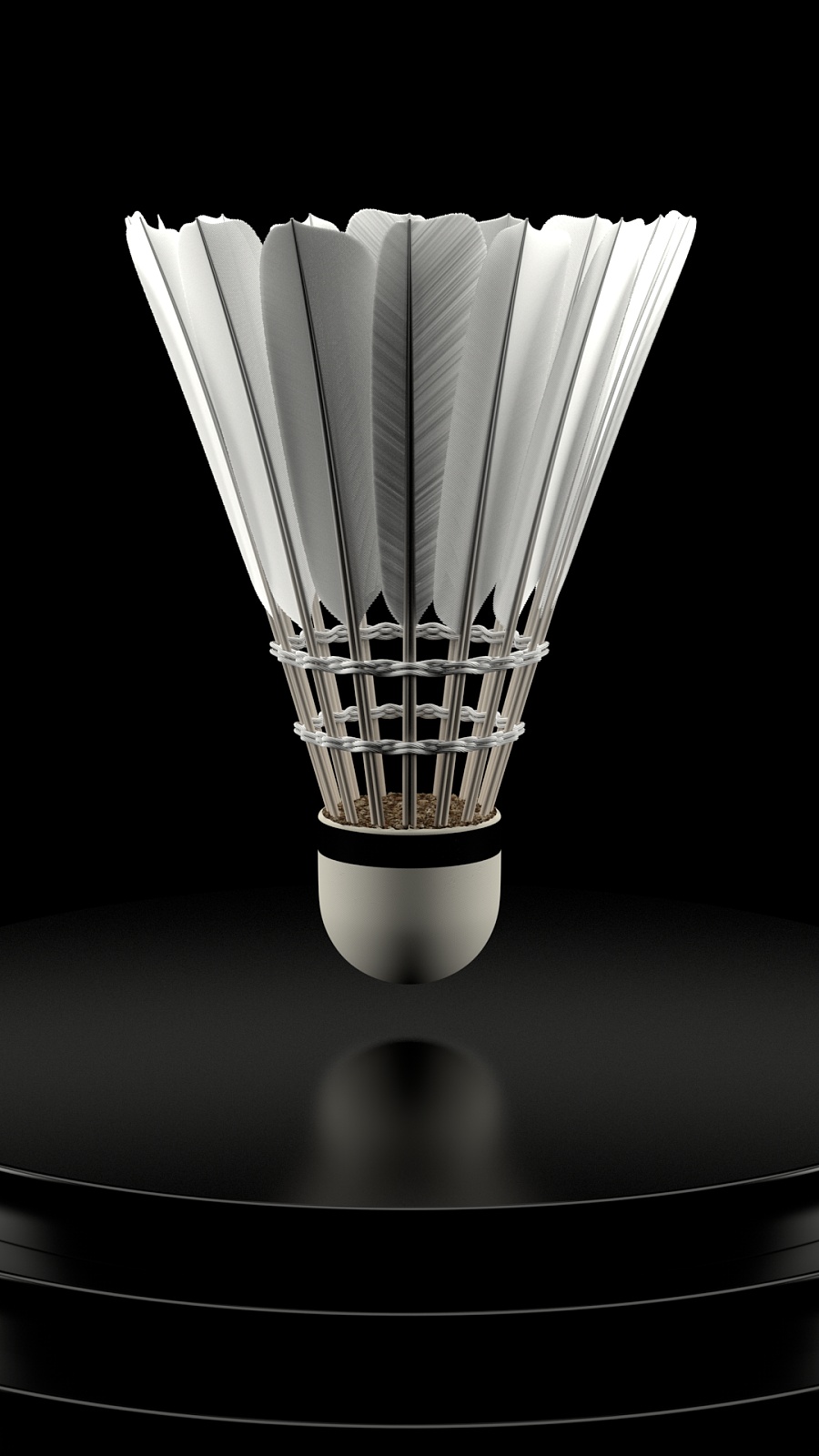 此次比赛的 此次比赛的